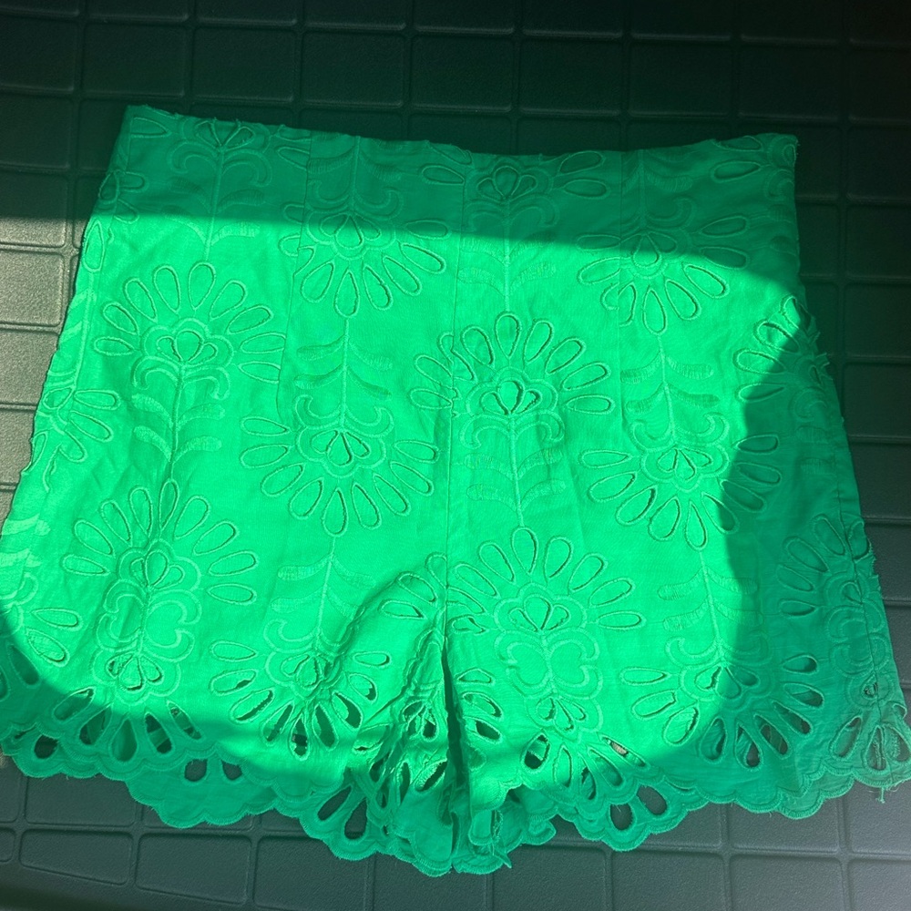 Zara Kelly Green eyelet lace side zipper high waisted shorts
